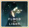 Flood Light